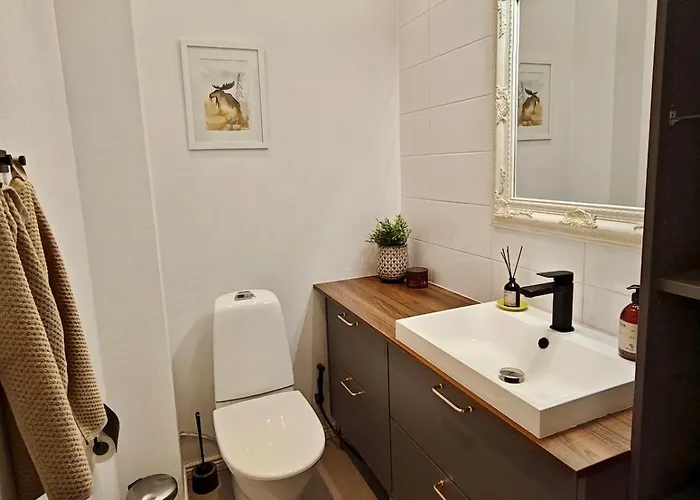 Lapland Oasis רובניימי