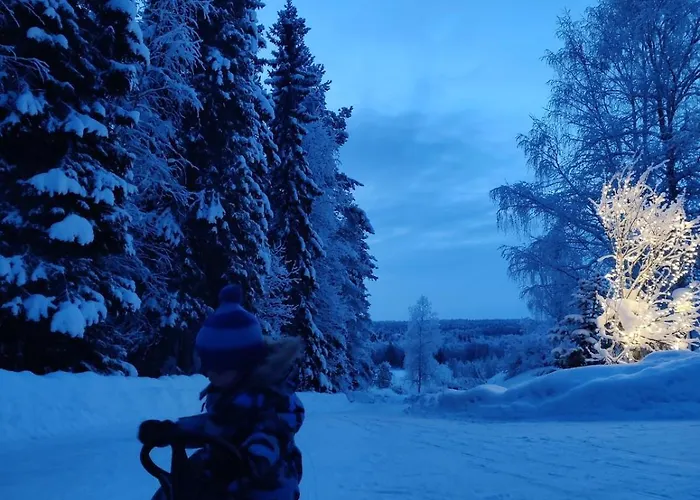 Lapland Oasis וילה *